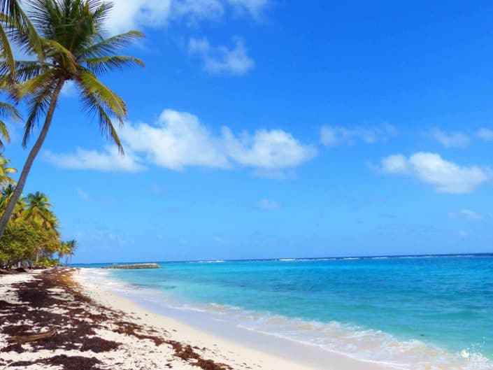 Guadeloupe : escale au cœur des Caraïbes